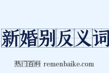 新婚别反义词是什么意思的图片